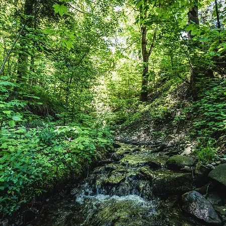 דירה Apartloft Sauna & Fitness - Skrzyczne שצ'צ'ירק