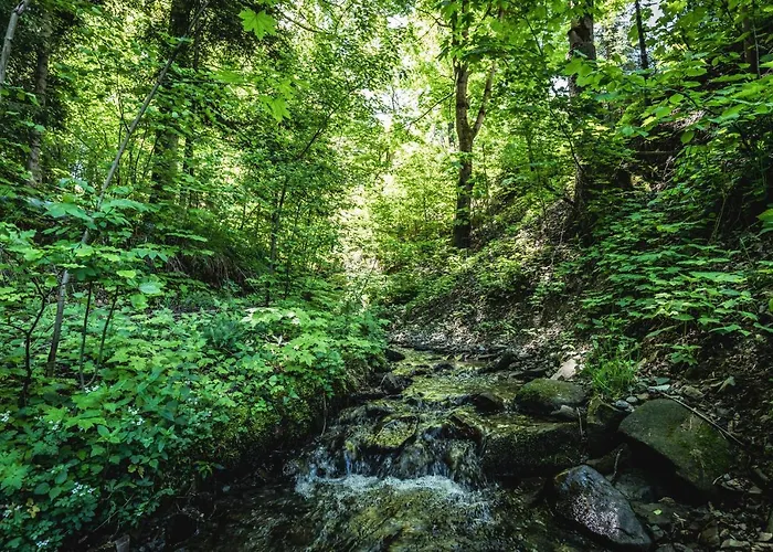 דירה Apartloft Sauna & Fitness - Skrzyczne שצ'צ'ירק