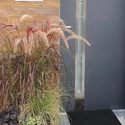 Apartloft Sauna & Fitness - Skrzyczne דירה שצ'צ'ירק